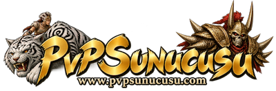 Sunucu & Altyapı Desteği
